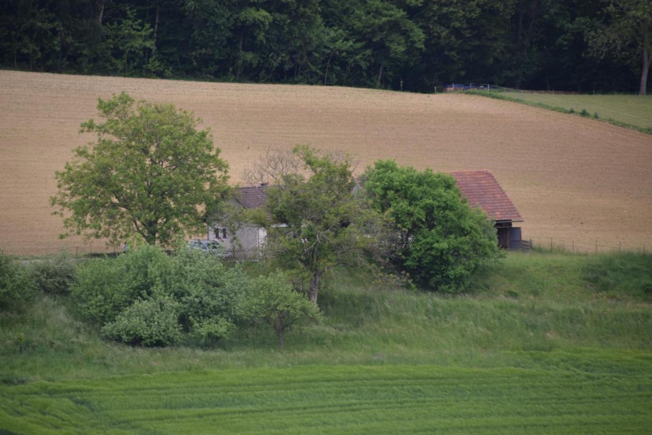 Ferienhaus Jagafranzl Gnas Extérieur photo